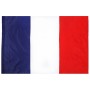 Drapeau Français Grande Taille